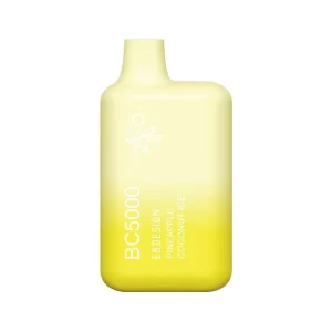 Pineapple Coconut Ice EB BC5000