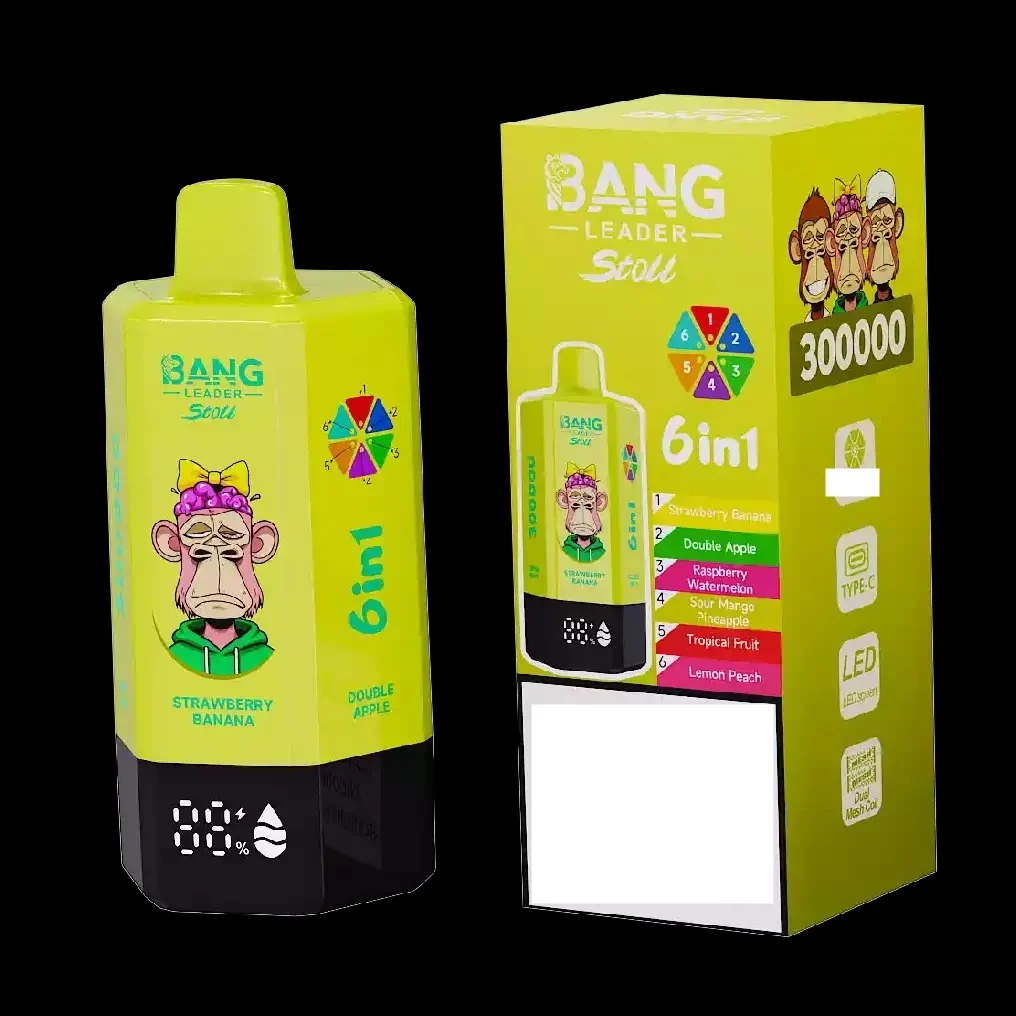 BANG LEADER STOLL 300K 300000 Puffs Rechargeable 6 in 1 Taste Disposable Vape Wholesale Bulk Buy Dual Mesh - Image 2