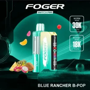 Foger Switch Pro 30K Disposable Vape (5%, 30000 Puffs)