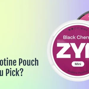 Which Nicotine Pouch Should You Pick?
