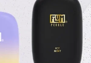 Looking for a Flum Pebble Near You? Here's Why You Should Buy Online