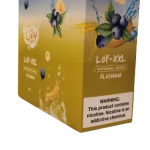 Loy Flow XXL Disposable 2400 Puffs - Bluenana (Blueberry Banana)